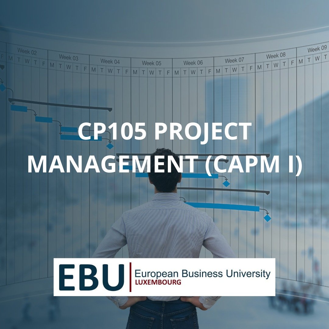 CP105 – PROJECT MANAGEMENT CAPM I